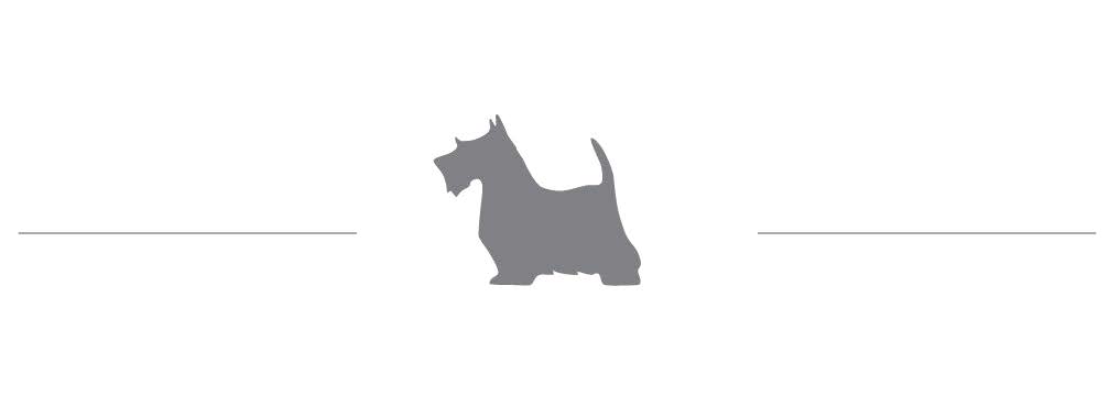 Harrison West Design + Furniture