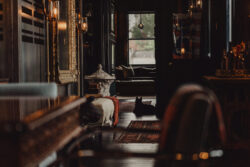 A dark hallway with vintage decor and a black cat lying on a rug near a window with natural light.